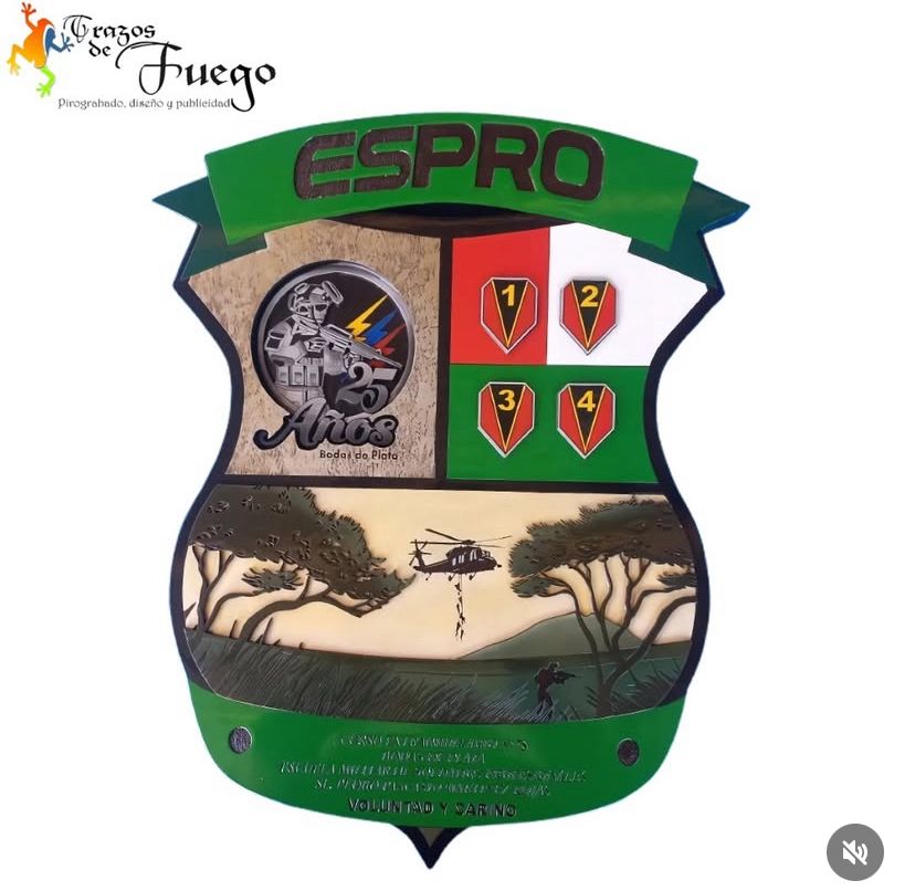 Medalla Conmemorativa